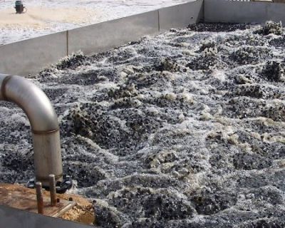 Moving Bed Biofilm Reactor (MBBR)