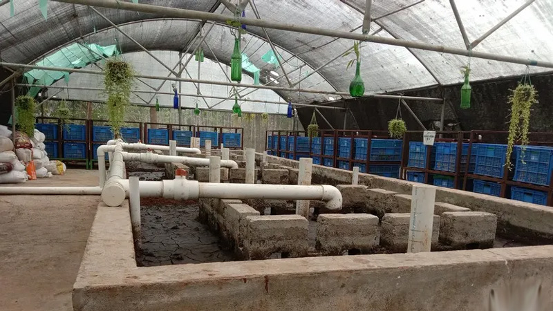 Faecal Sludge Treatment Plants (FSTP's)