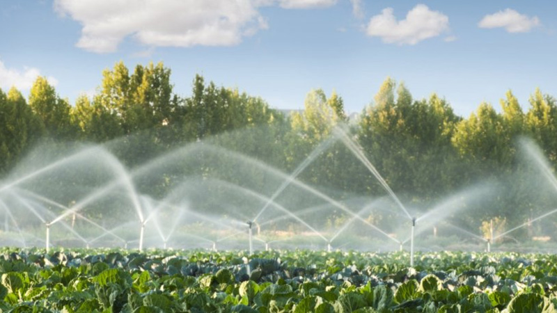 Agricultural wastewater treatment plants